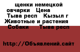 щенки немецкой овчарки › Цена ­ 5 000 - Тыва респ., Кызыл г. Животные и растения » Собаки   . Тыва респ.